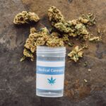 Kannabinoidy mniejszościowe – mniej znane związki o dużym potencjale